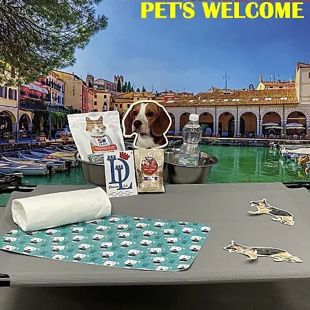 Апартаменты Desenzanoloft Official Partner Marriott Homes & -butterfly And 5 Pools Family *